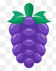 Grapes Png Icon 43 - Png Repo Free Png Icons Seedless Fruit,Grapes Png