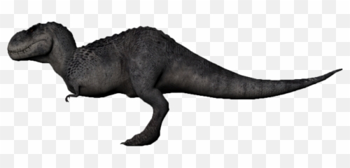 Drawn Tyrannosaurus Rex V Png
