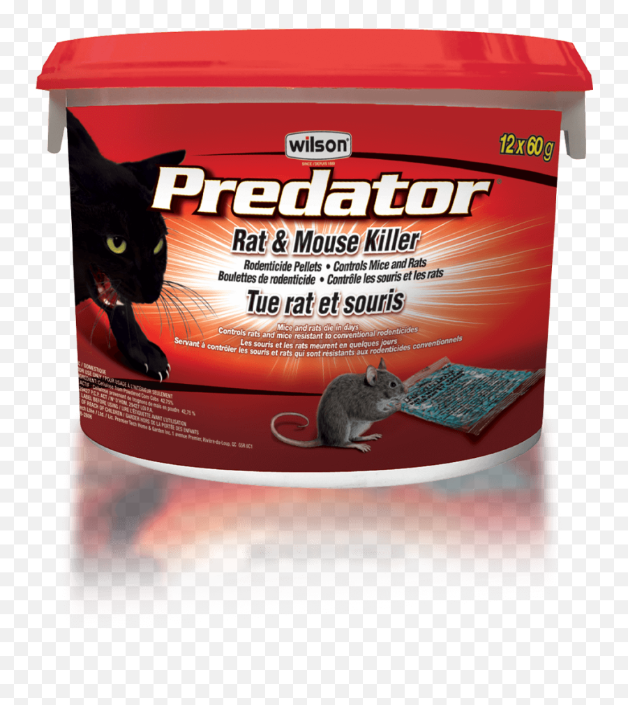 Download Wilson Predator Rat Mouse Killer Pellets - Rat Png Rat,Rats Png