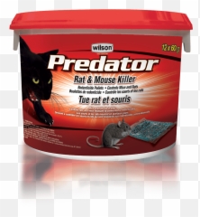 Download Wilson Predator Rat Mouse Killer Pellets - Rat Png Rat,Rats Png