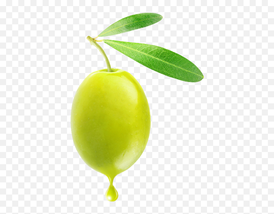 Olives Png Icon - Transparent Olive Png,Olive Png