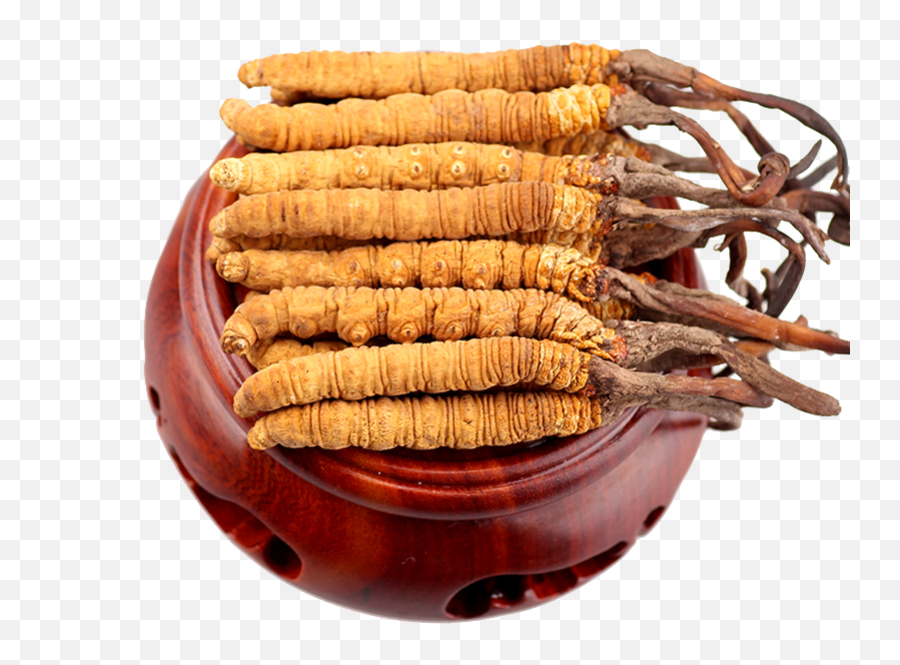 Chinese Food Ingredients Png Image - Purepng Free Cordyceps Png,Chinese Food Png