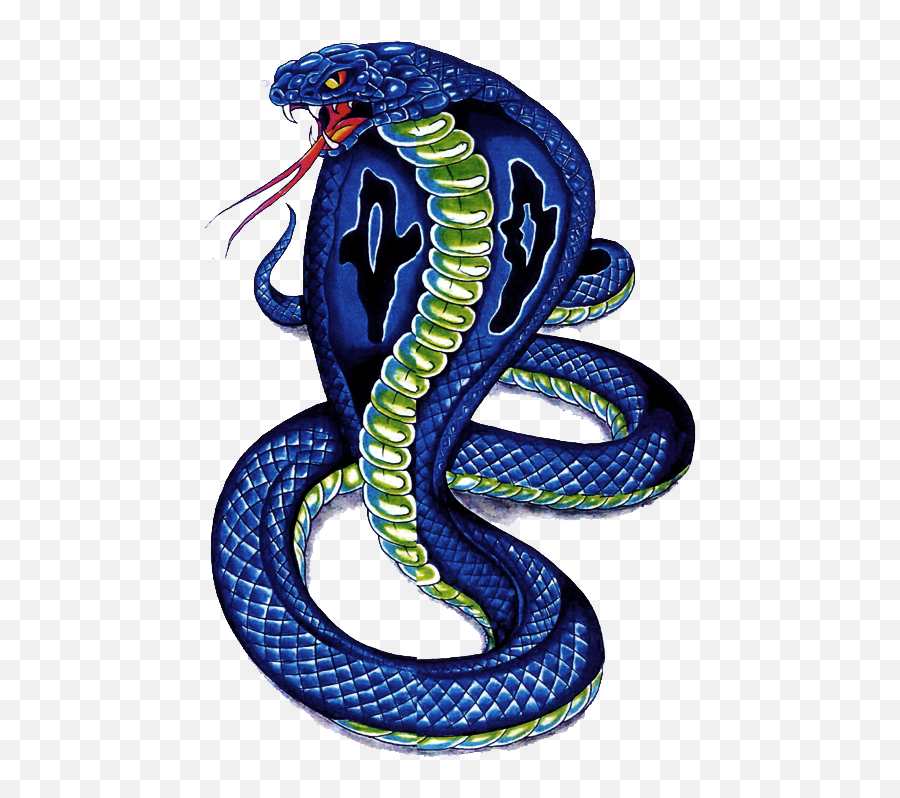 Cobra Snake Png Images Free Download Snake Drawing Color Tattoo Free Transparent Png Images Pngaaa Com