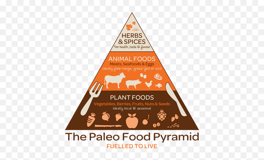 Healthy Fast Food East Paleo Snacks Instead Diet Eats - Hunter Gatherer Food Pyramid Png,Food Pyramid Png