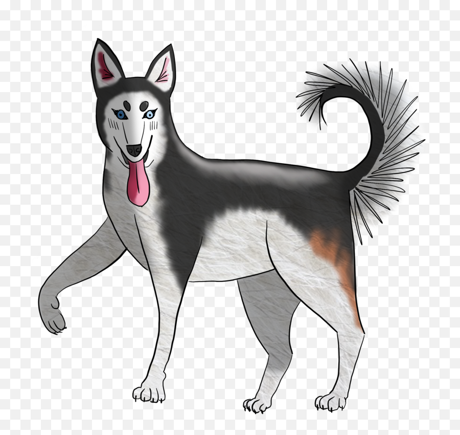 Artwork U2014 Elyse Wietstock Png Husky