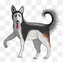 Artwork U2014 Elyse Wietstock Png Husky