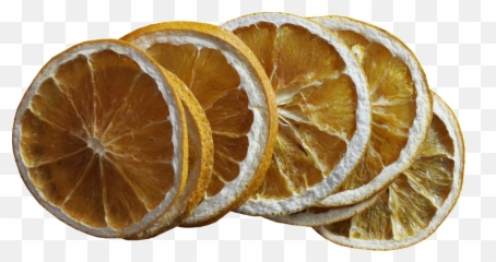 Download Lemon Slice Vector - PNG Image with No