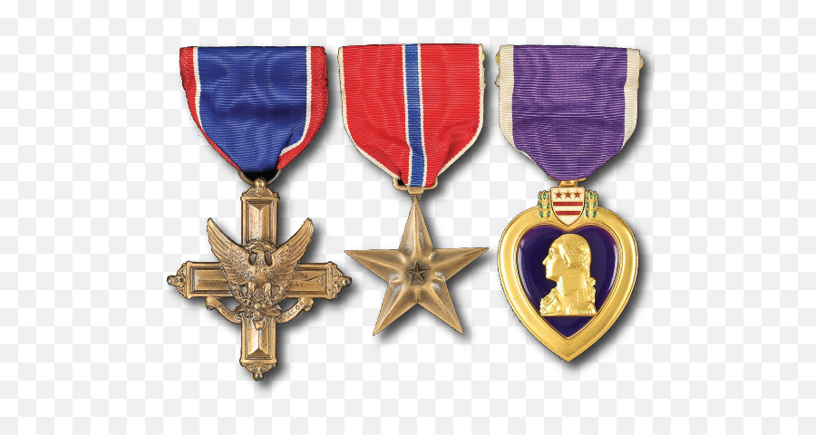 Medals Images 20 - 553 X 410 Webcomicmsnet Medal Of Bravery Usa Png,Medals Png