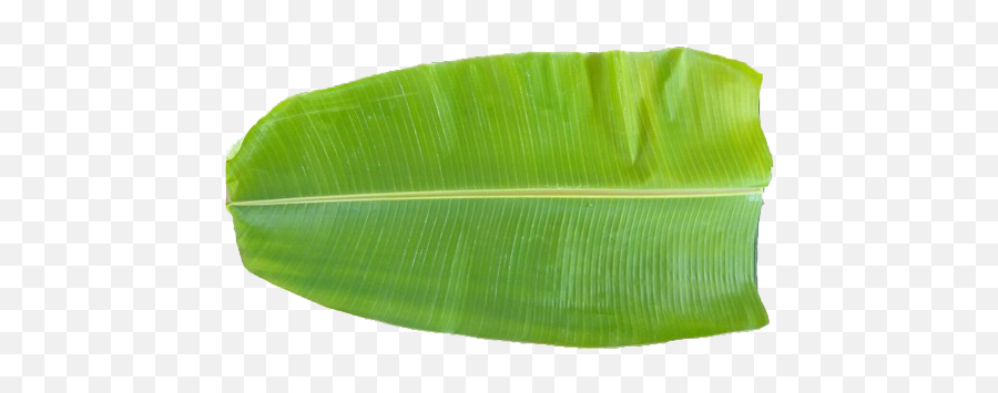 Banana Leaves Transparent Png Clipart - Thala Valai Ilai,Banana Leaf Png