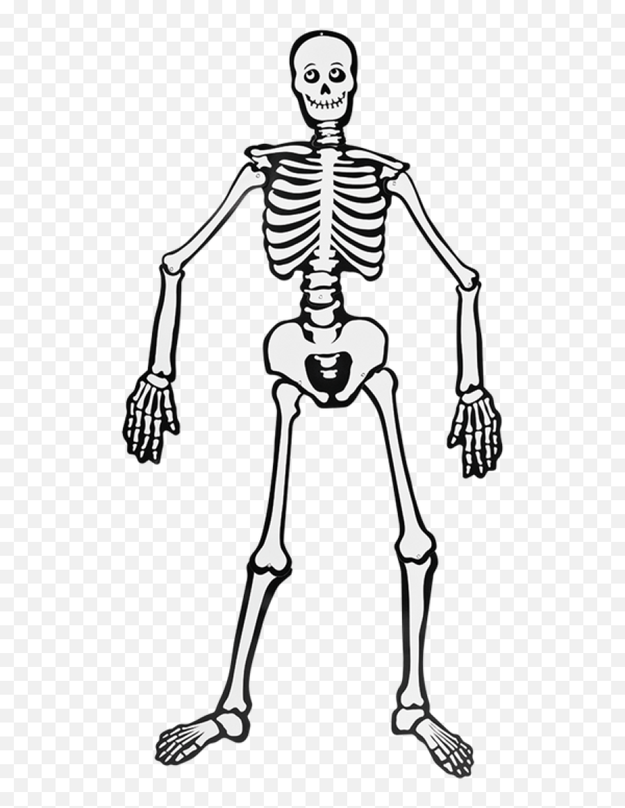Esqueleto Halloween Png - Esqueleto Png,Halloween Png Transparent