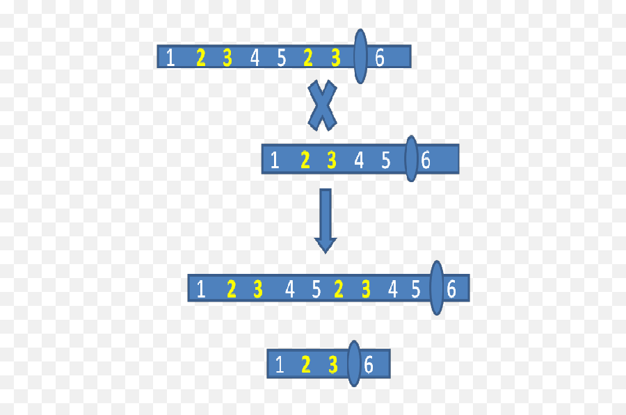 Duplication Present - Screenshot Png,Chromosome Png