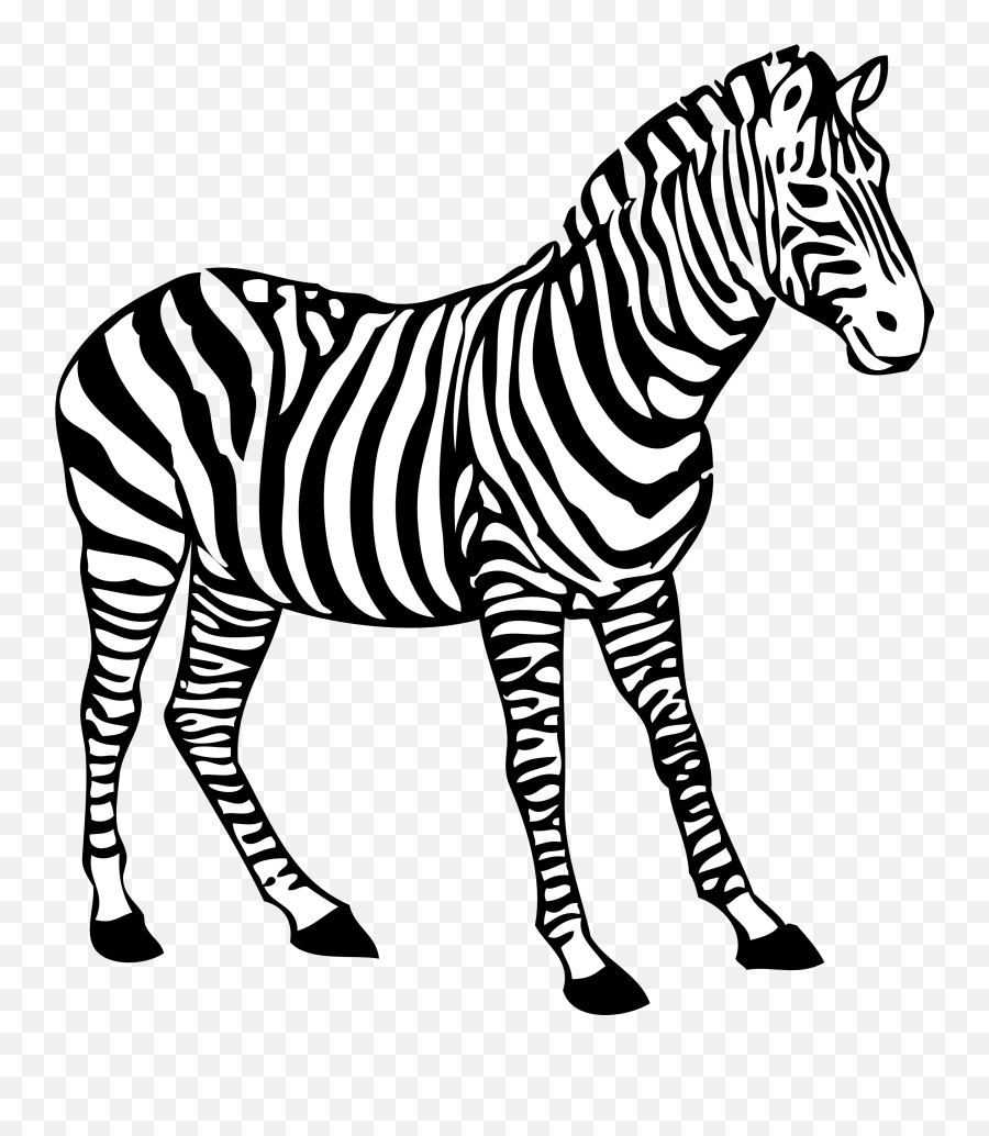 Zebra Clipart Black And White - Coloring Picture Of Zebra Colouring Picture Of Zebra Png,Zebra Png