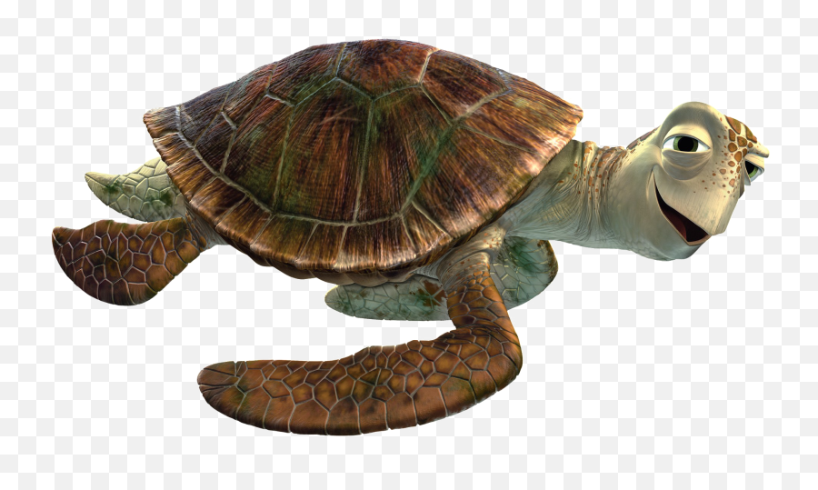 Sea Turtle Transparent Image - Transparent Crush Finding Nemo Png,Sea ...