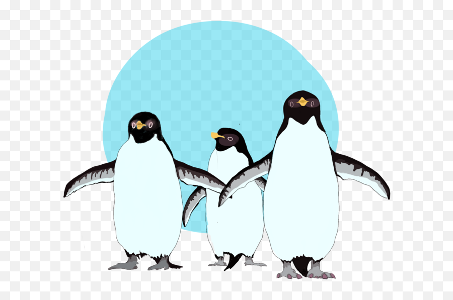 Penguins Original Ordinary Png
