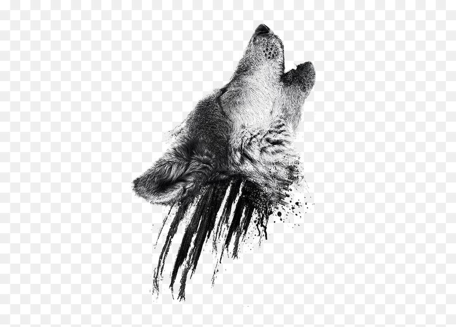 Download And Merely London In Still Tattoo Lahey Hq Png - Wolf Howling Transparent Background,Tatuajes Png