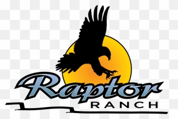 Raptor Ranch U2013 Thereu0027s Something Wild In Air - Soul png