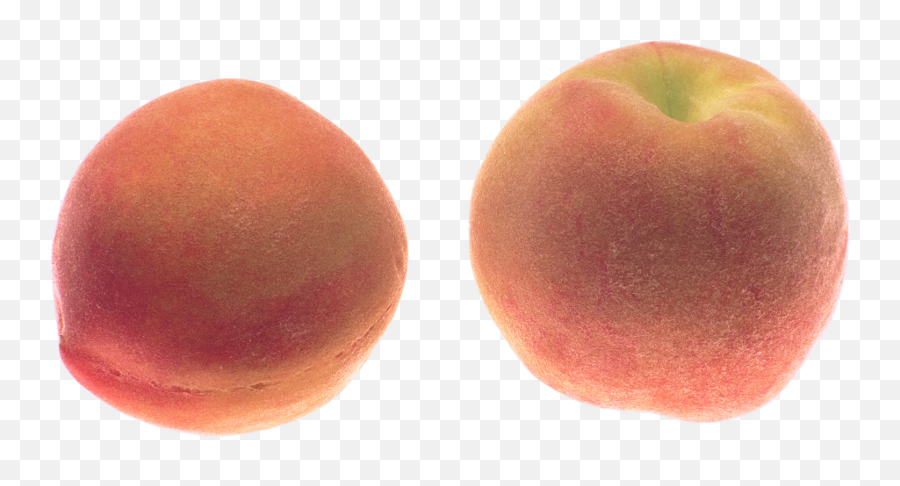 Download Peach Png Image For Free - Portable Network Graphics,Peach Transparent Background