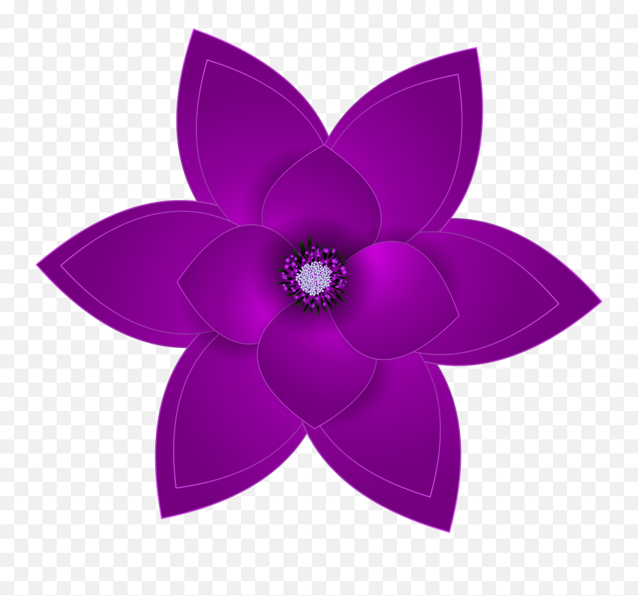 Flower Purple Png Picture Flowers