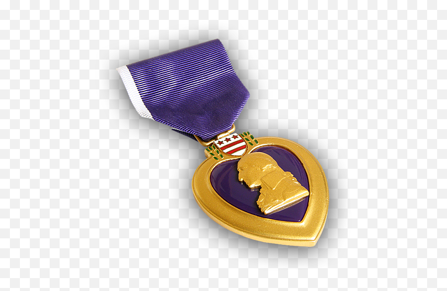 Wounded Warriors In Action Foundation - Solid Png,Purple Heart Medal Png