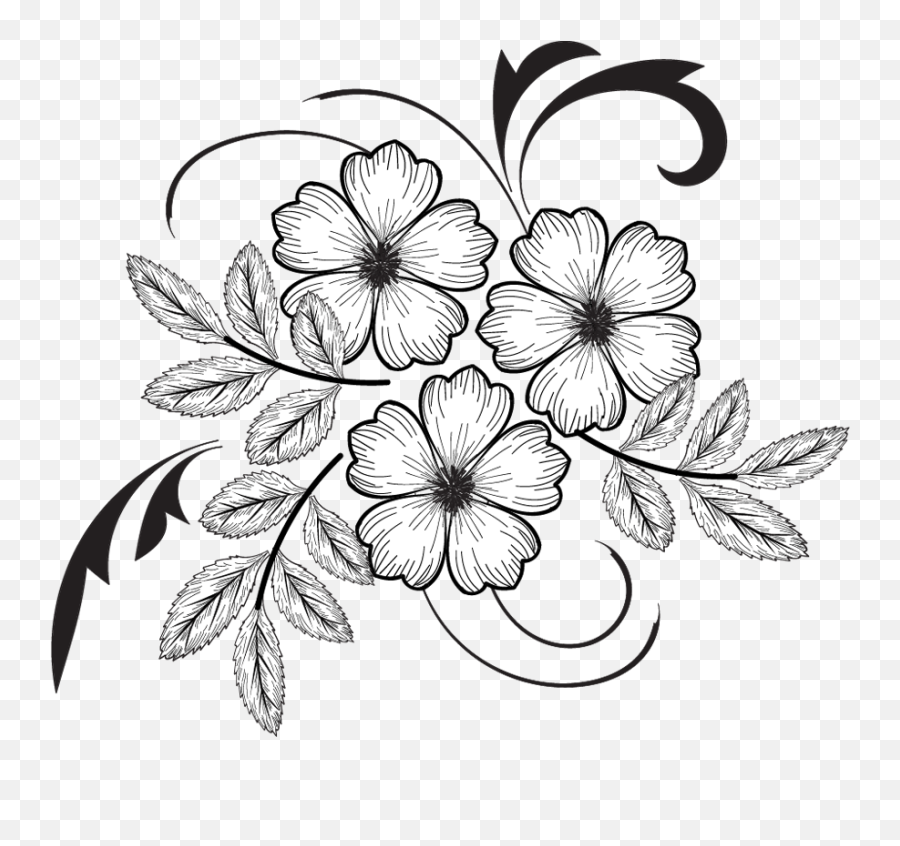 Flowers Drawing Illustrations Png File Easy Flower - White Flower Embroidery Png,Embroidery Png