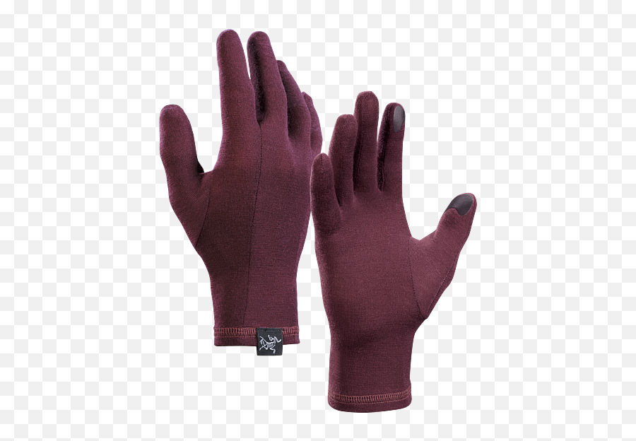 Gothic Glove - Arcteryx Gothic Glove Png,Icon Arc Glove