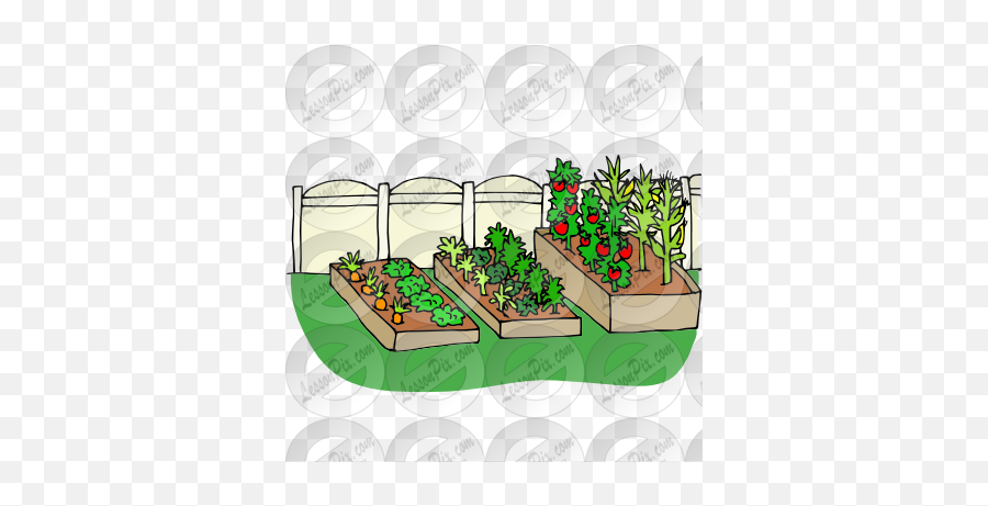 Lessonpix Mobile - Vegetable Patch Clipart Transparent Png,Vegetable Garden Png