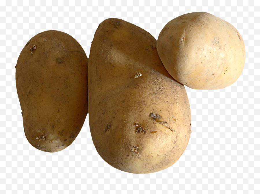 Raw Potato Png Image For Free Download - Raw Potato Png,Potato Png
