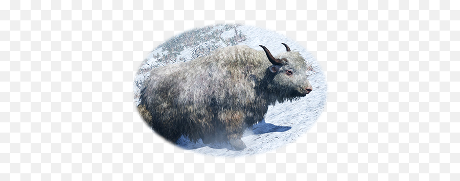 Steam Community Guide Rare Animals Of Oros Finding - Bison Png,Far Cry 4 What Key Is The Icon That Looks Like A House