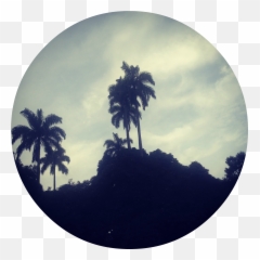 Tumblr Icon Circle Png - Icons