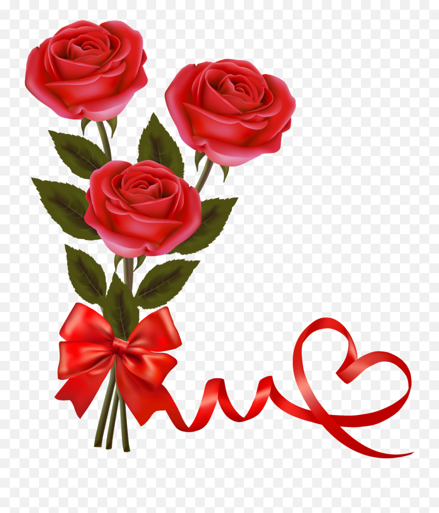 Red Rose Png Hd - Beautiful Rose Png Hd,Cartoon Rose Png