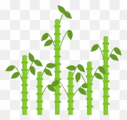 Bamboo Island Not Designed To Be Biome Or Microbiome - Vertical png