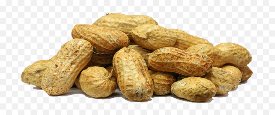 Peanut Png Transparent Image - Peanuts Transparent Background,Peanut Transparent