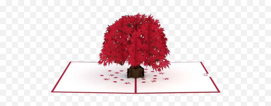 Happy Birthday Japanese - Maple Tree Pop Up Png,Japanese Maple Png