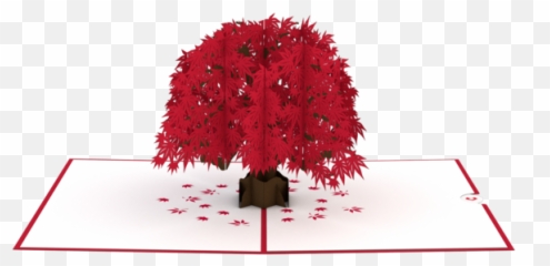 Happy Birthday Japanese - Maple Tree Pop Up png