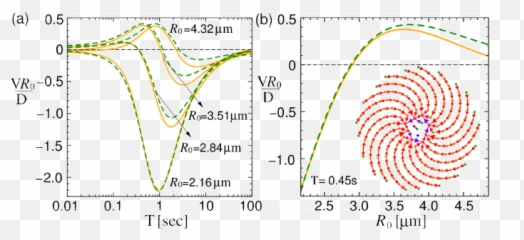 Two - dimensional optical thermal ratchets based Fibonacci Diagram png