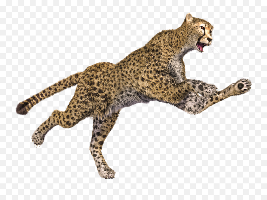 Ultra Pc Cheetah Png