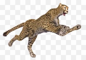 Ultra Pc Cheetah Png
