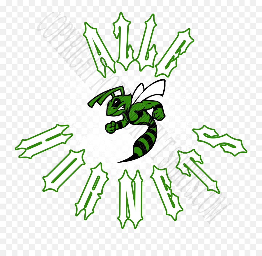 Download Banner Free Stock Hornets Logos - Characteristics Characteristics Of Common Wasps And Bees Png,Hornets Logo Png