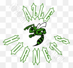 Download Banner Free Stock Hornets Logos - Characteristics Characteristics Of Common Wasps And Bees Png,Hornets Logo Png