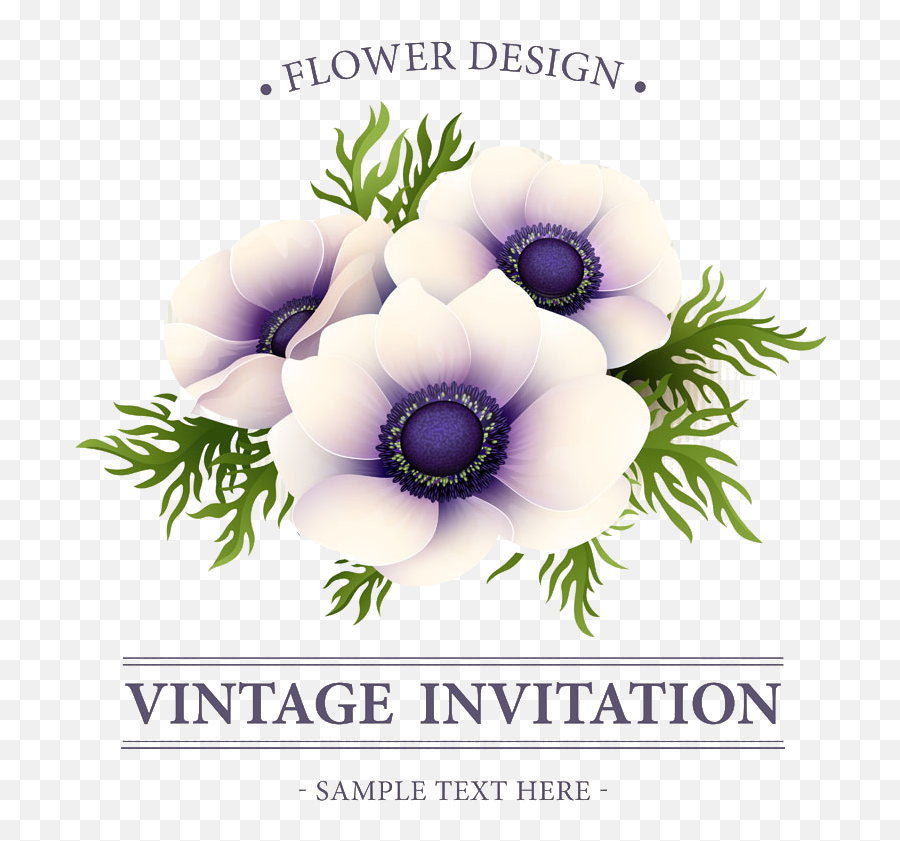 Bouquet Vector Anemone Transparent - Flower Png,Anemone Png
