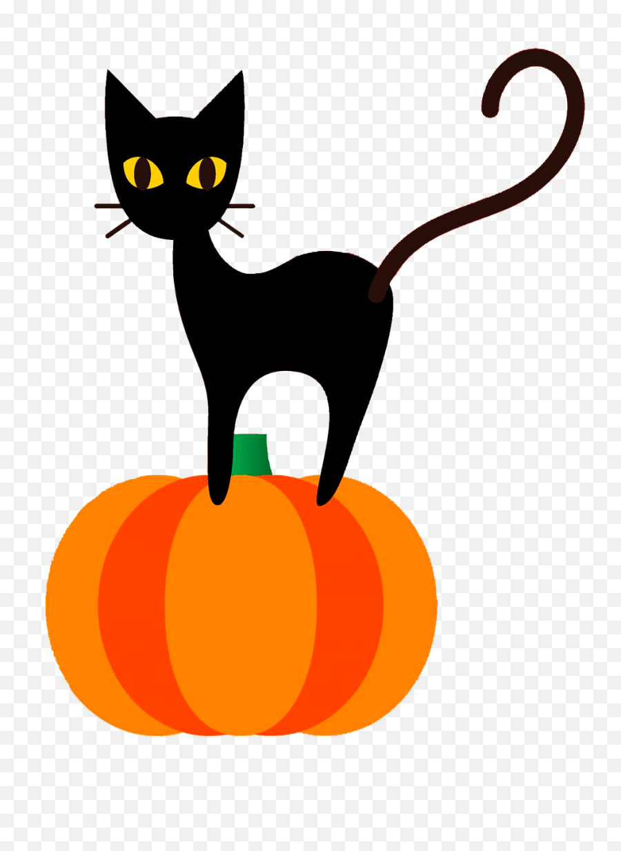 Black Cat - Cat Grabs Treat Png,Pumpkin Clipart Transparent