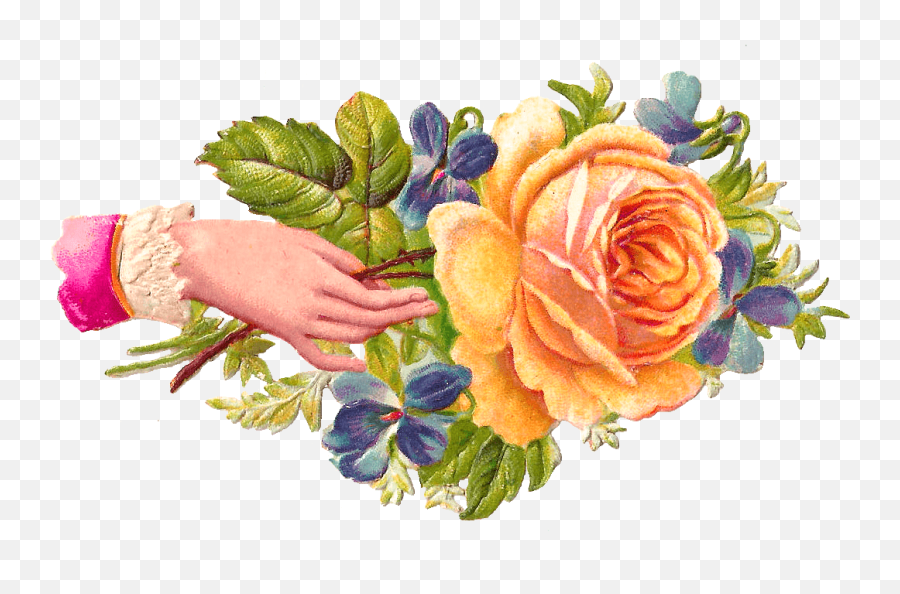 Hand Rose Transparent Png - Stickpng Welcome Images With Hands,Rose Flower Png