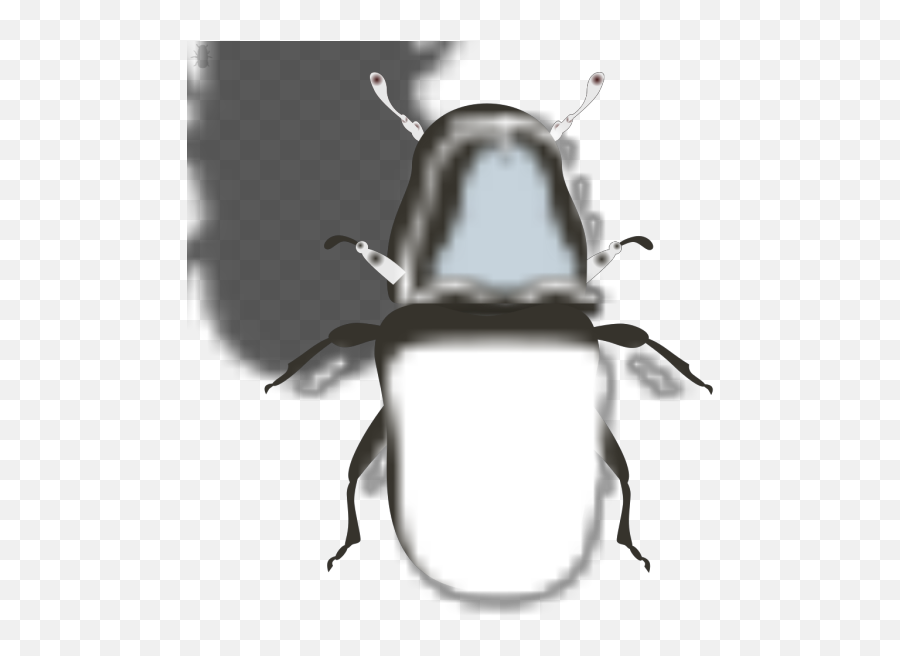 Bug Png Svg Clip Art For Web - Download Clip Art Png Icon Arts Weevil,Transparent Bug