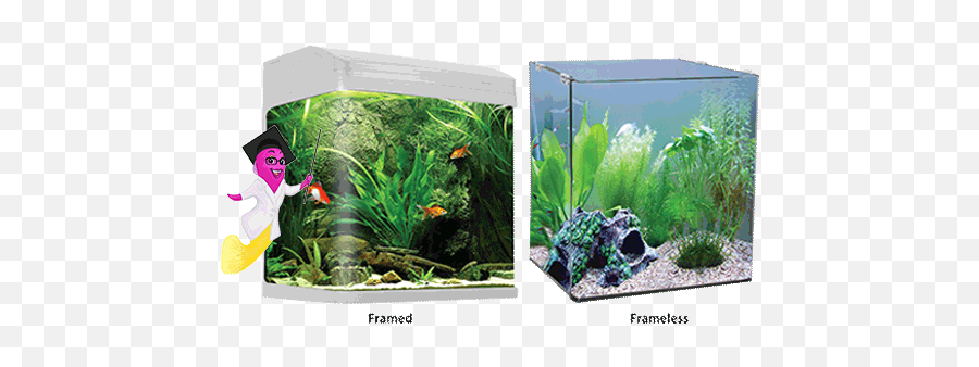 Getting Started - Aqua One Inspiring Excellence In Fish Care Aquanano 30 Tropical Aquarium 22l Png,Fish Bowl Transparent Background