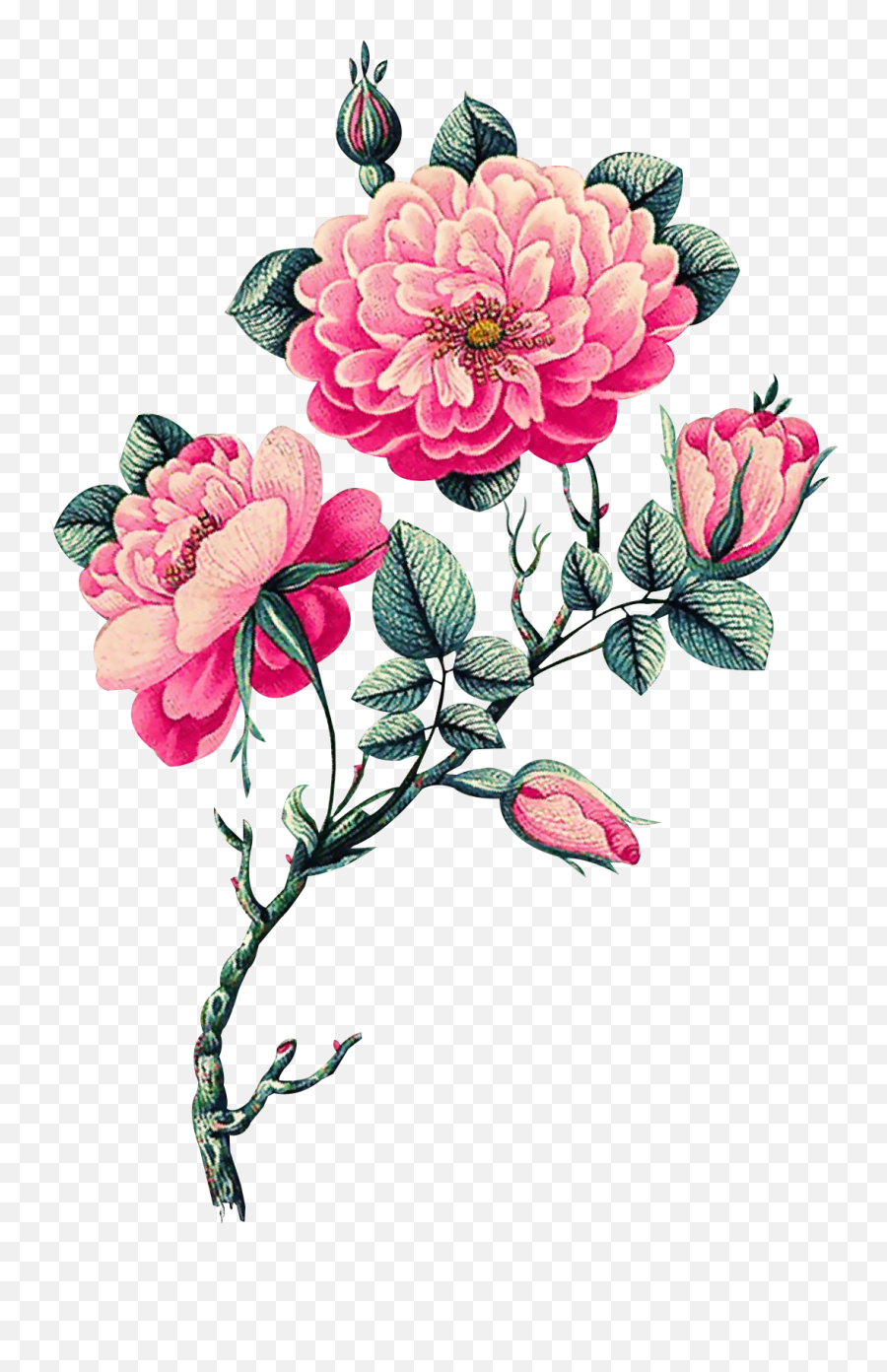 Download Pink Vector Flowers - Vector Flower Png,Flowers Png Vector