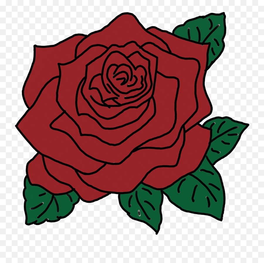 Rose Sketch To Final Design - Red Rose Svg Png,Rose Outline Png