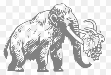 The Woolly Mammoth - Indian Elephant Transparent Cartoon Transparent Cartoon Woolly Mammoth Png,Mammoth Png
