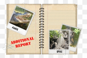 Croc Encounters Green Iguana - Alligator Snapping Turtle png