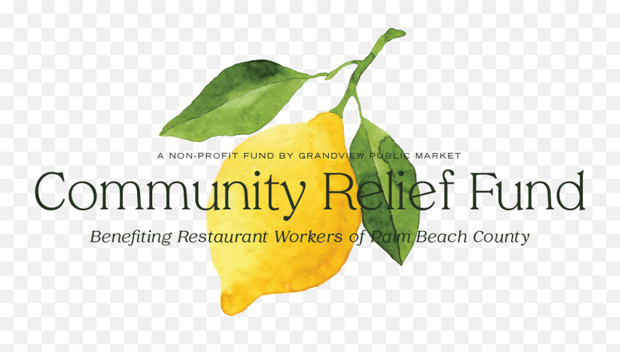 Community Relief Fund Town Of Palm Beach United Way - Fresh Png,Relief Society Logo