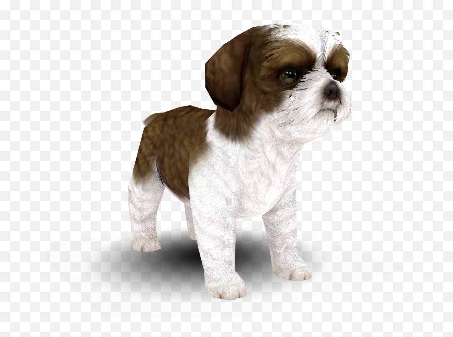 3ds - Soft Png,Shih Tzu Png